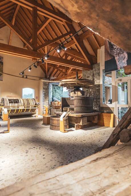 Vignobles en Scène : visite libre du Musée de la vigne et du vin de Savoie