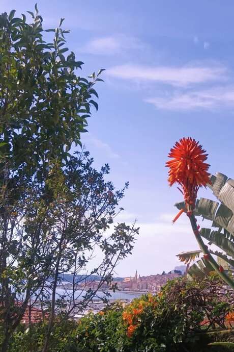 92nd Fête du Citron® -Guided tour: Twilight tour