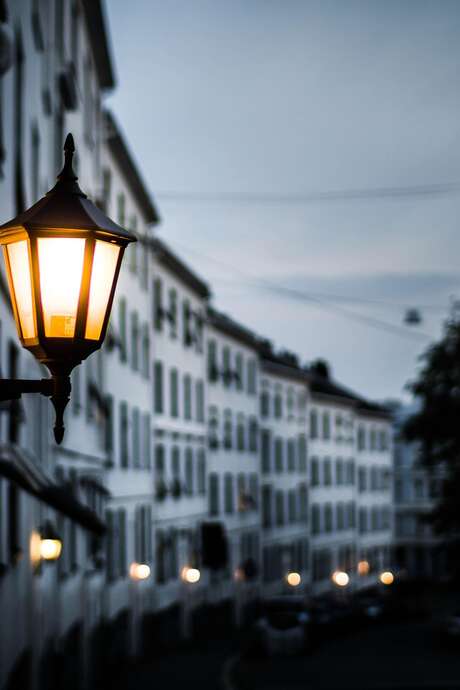 Sortie terrain : sous les lampadaires ! FNE Savoie