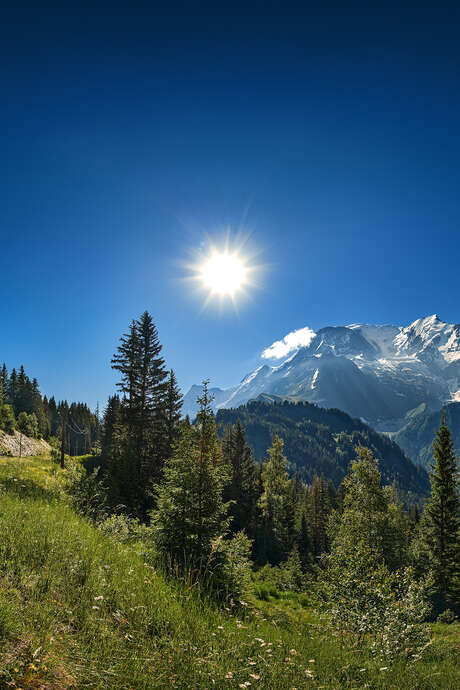 Randonnée au Mont Lachat avec le mythique Tramway du Mont-Blanc