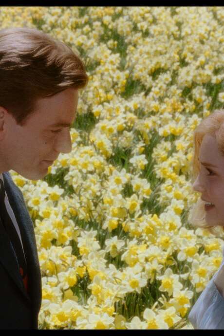 CinéPhilo : L'Imagination