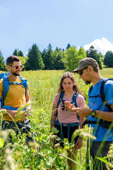 Randonnée flore de montagne et tourbière des Creusates