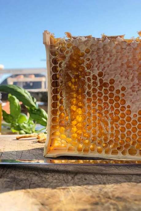 Führung mit Erläuterungen – La Ciotat Gourmande