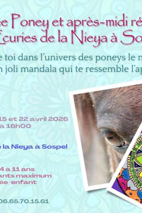 Pony morning and recreational afternoon