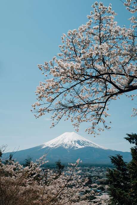 Conferenza - Il Monte Fuji: una montagna dai mille volti, tra eredità religiose e rappresentazioni esterne - Saint-Gervais sous les Sakuras