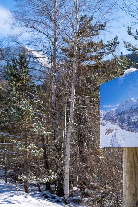 Photo exhibition "Orcières au fil des saisons"