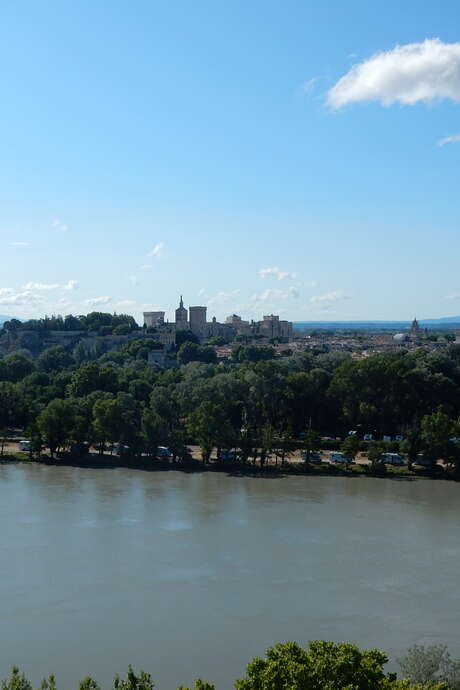 L'histoire et le Rhône à Avignon