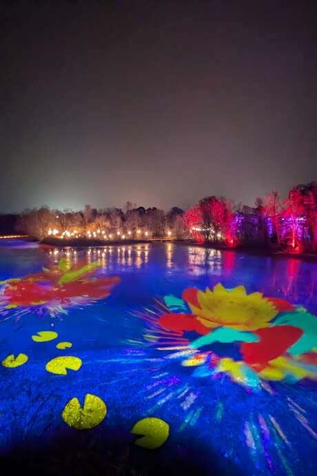 Les Nuits du Parc - Saison 2