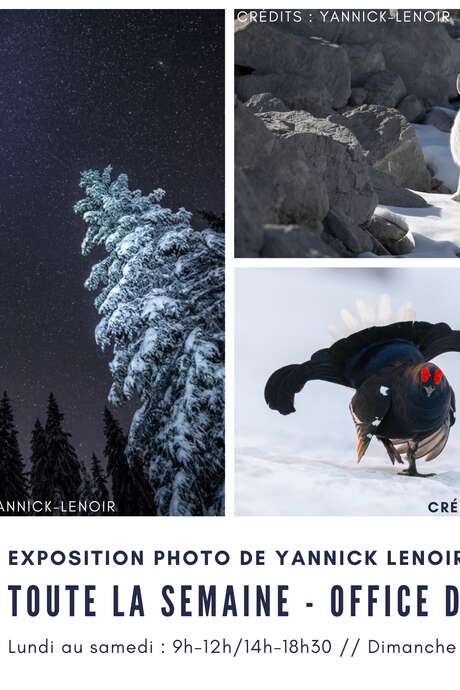 Fotokonferenz von Yannick Lenoir