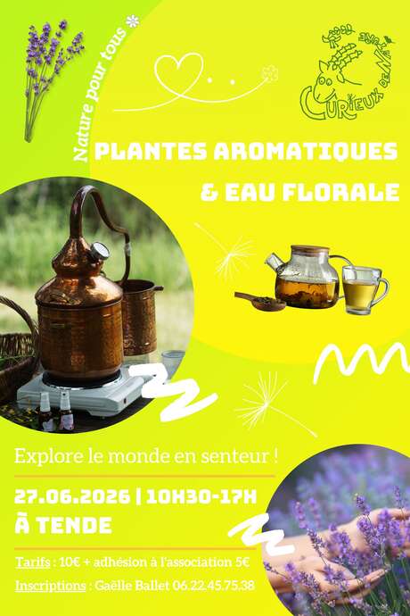 Laboratori sulle piante aromatiche e sulle acque floreali