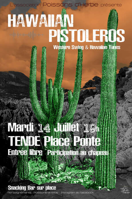Concert des Hawaiian Pistoleros (western swing)