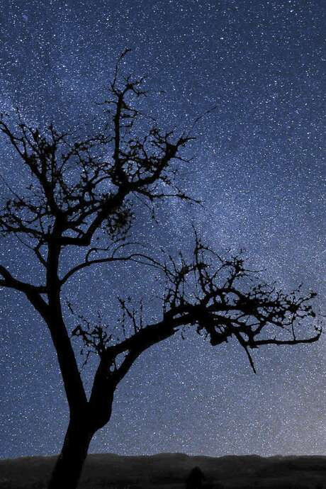Tant qu'il y aura des étoiles : apéro dînatoire, film et balade nocturne