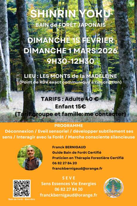 "Shinrin Yoku" bain de forêt Japonais