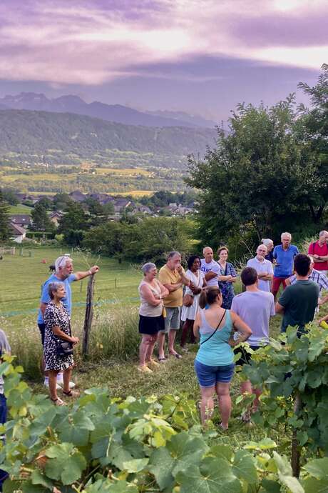 Apéro'vignes à la Maison Philippe Grisard