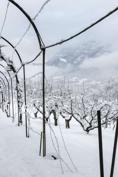Nocturne de Noël : Contes aux Charmettes