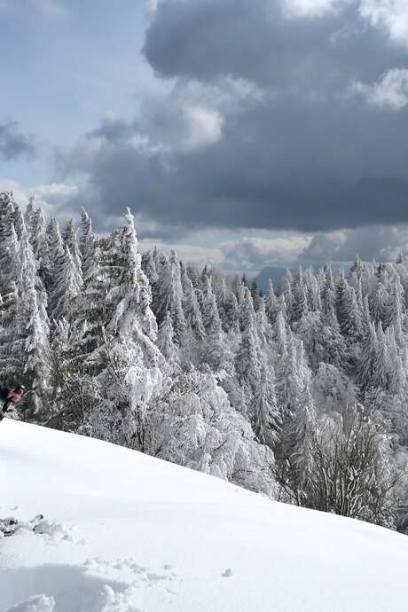 Balades raquettes Weekend à La Féclaz ou au Revard