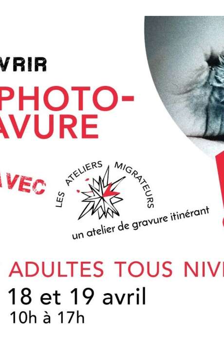 Atelier Découvrir la photogravure