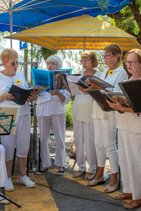 Fête de la Saint-Louis