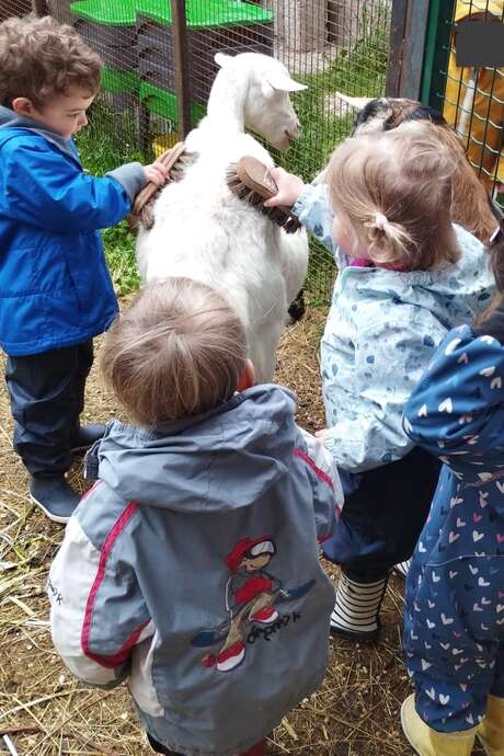 Visite chèvrerie et fabrication d'un baume : atelier parents/enfants
