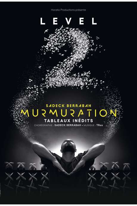 Murmuration - Level 2 - Sadeck Berrabah
