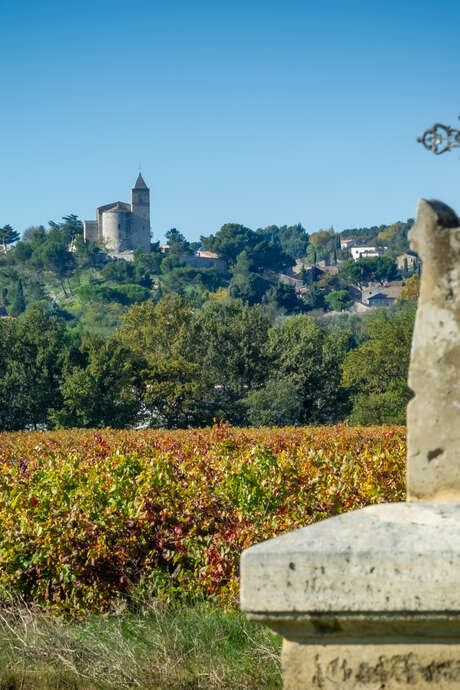 Visite guidée de Rochefort-du-Gard