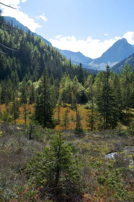Vous avez dit tourbières ?