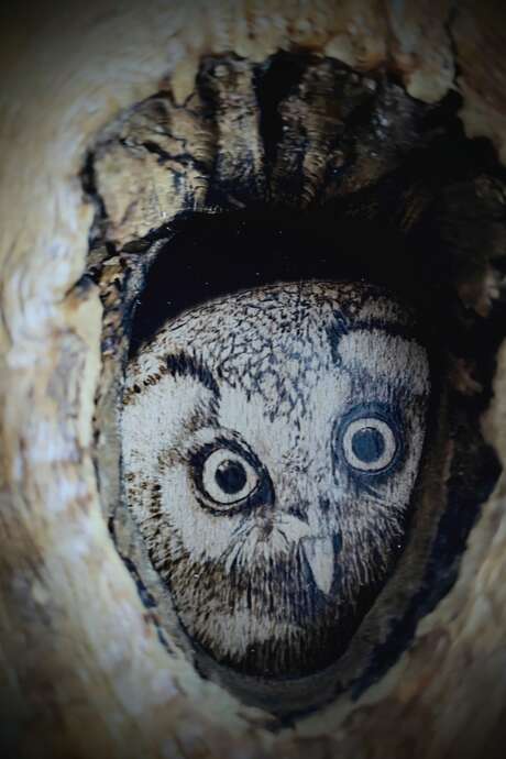 "La lumière nuit" : apéro-dînatoire partagé, visite de l'exposition suivie d'une balade nocturne