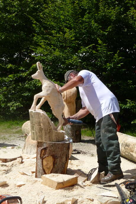 35th Logging Competition