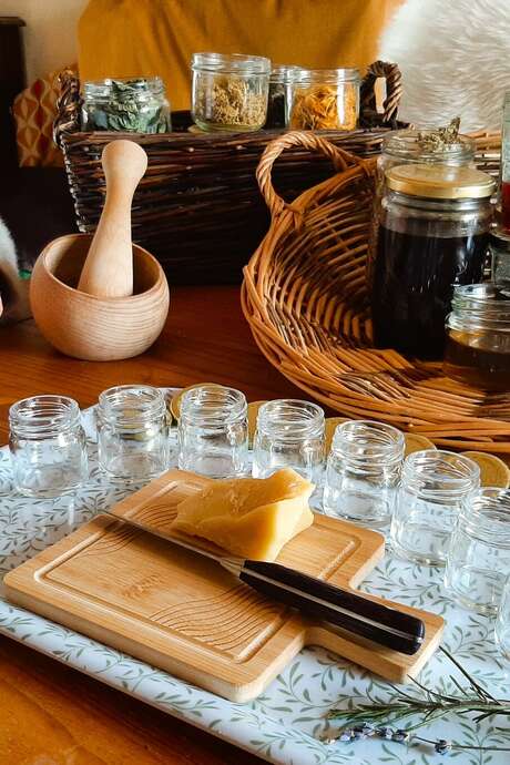 Atelier Baumes et plantes sauvages