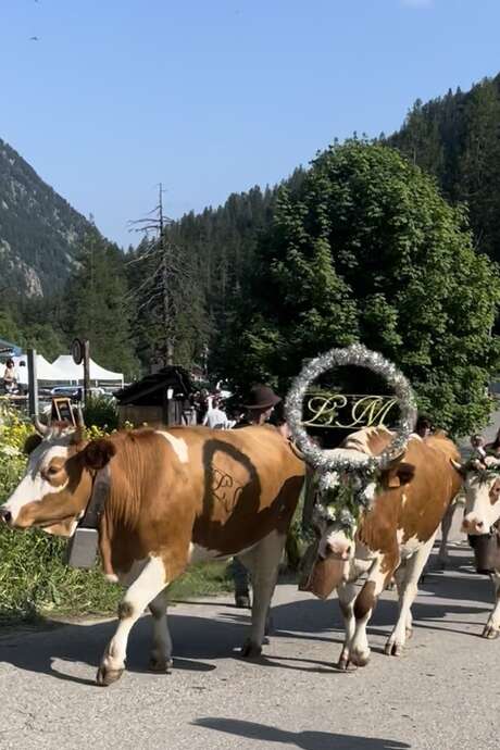 Fest der Transhumanz in Casterino