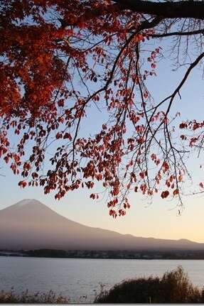 Stage Voix Corps Mouvement
