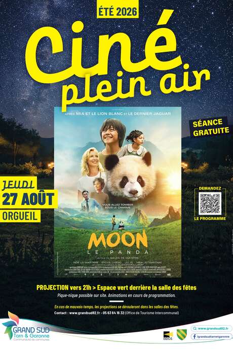 Ciné Plein Air /" Moon le panda "