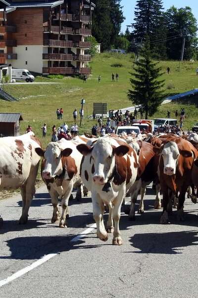 Fête des Alpages du Mont Revard