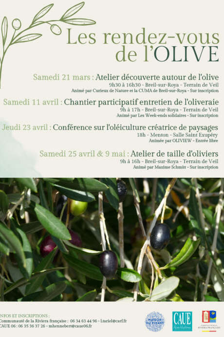 les rendez-vous de l'Olive: Olive pruning workshop