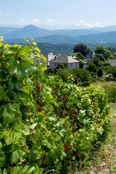 Animations à La Maison Philippe Grisard