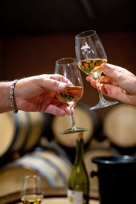 Atelier : découverte immersive des vins de Savoie