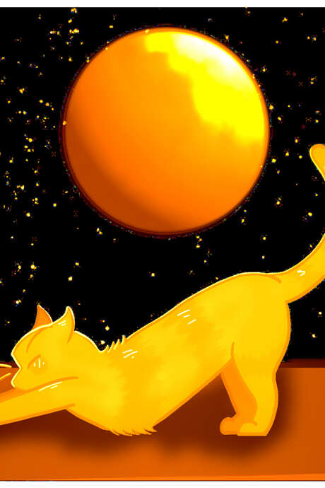 Exposition : La Nuit