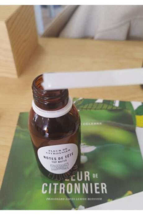 92nd Fête du Citron® - Guided tour & workshop: Fragonard perfume creation