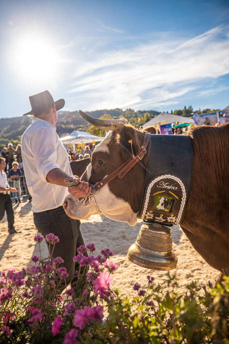 47th Agricultural Fair