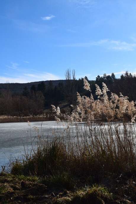 Sortie naturaliste Sortie naturaliste