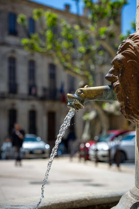 Roquemaure : histoire et secrets du Rhône
