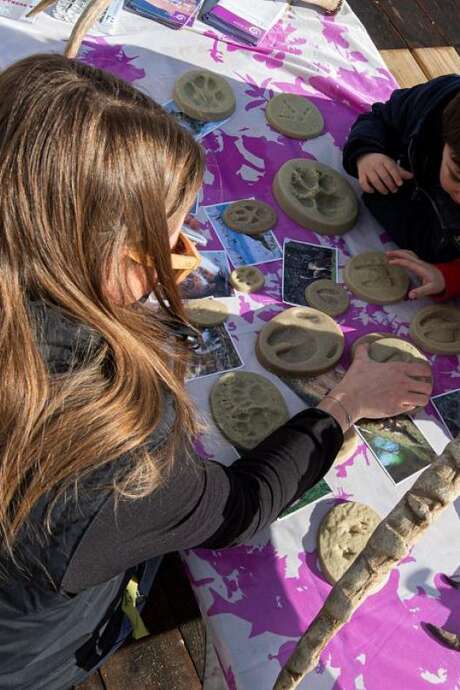 Atelier traces du Parc national des Ecrins