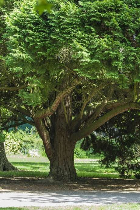 Visite guidée "A la découverte du Parc Napoléon III"