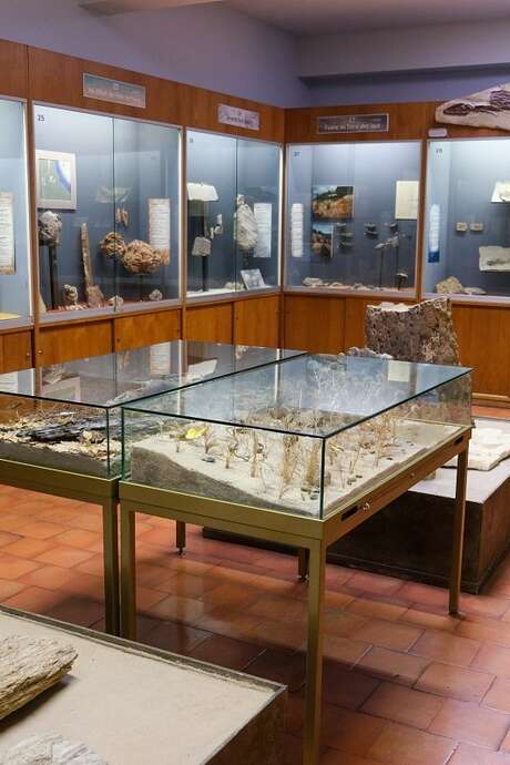 Visite-atelier du mercredi - Herbiers scientifiques et herbiers rêvés