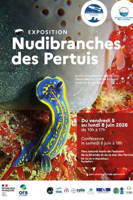 Photography exhibition: Nudibranchs of the Pertuis