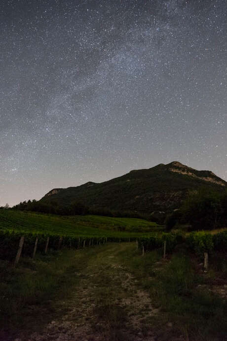 A la croisée des vins et des étoiles
