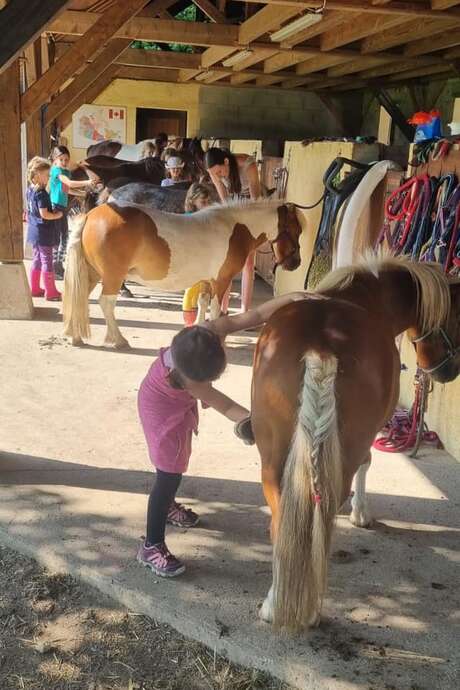 Easter holiday courses to prepare for federal exams - Terre et Ciel riding centre