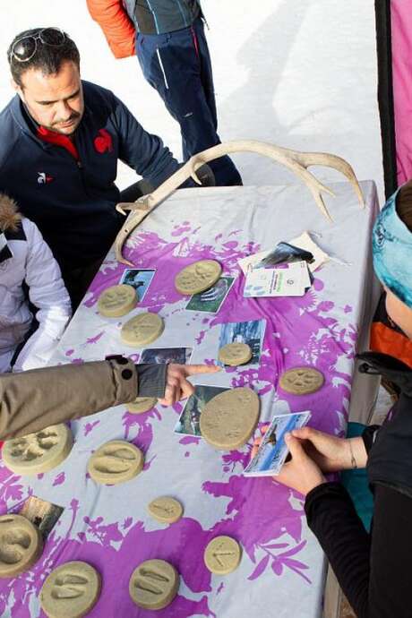 Atelier traces du Parc national des Ecrins