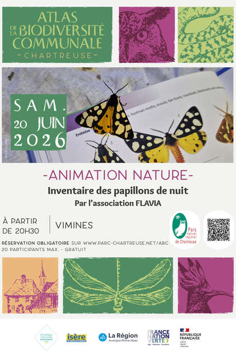 Inventaire des papillons de nuit