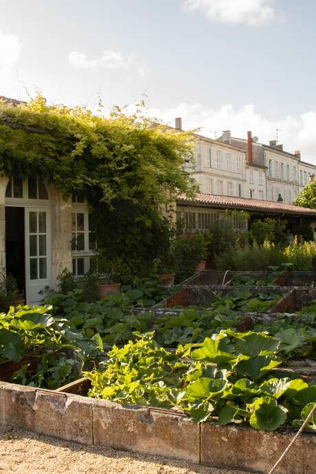 Visite guidée : plantes et jardins